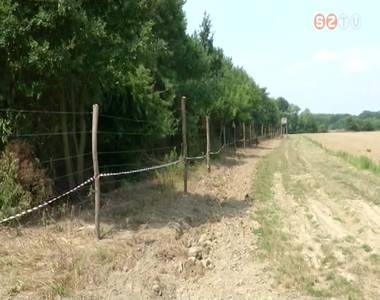 Vadk�ralapot hoznak l�tre