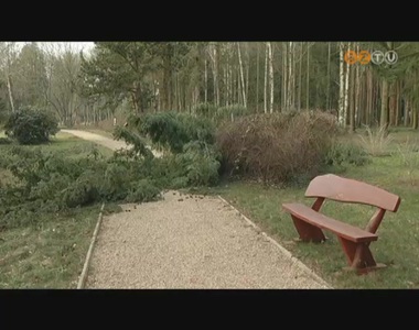 Az ork�nerej� sz�l az arbor�tum fa�llom�ny�t is megt�p�zta