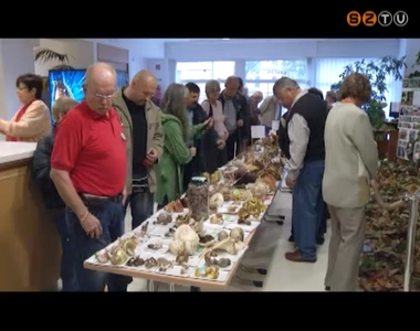 20 éves jubileumát ünnepli a Szombathelyi Gomba- és Gyógynövénygyűjtő Klub 20 éves jubileumát ünnepli a Szombathelyi Gomba- és Gyógynövénygyűjtő Klub