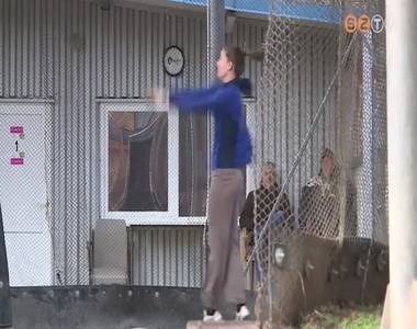 Háromhetes dél-afrikai edzőtáborozás után tértek haza a Dobó SE sportolói Háromhetes dél-afrikai edzőtáborozás után tértek haza a Dobó SE sportolói