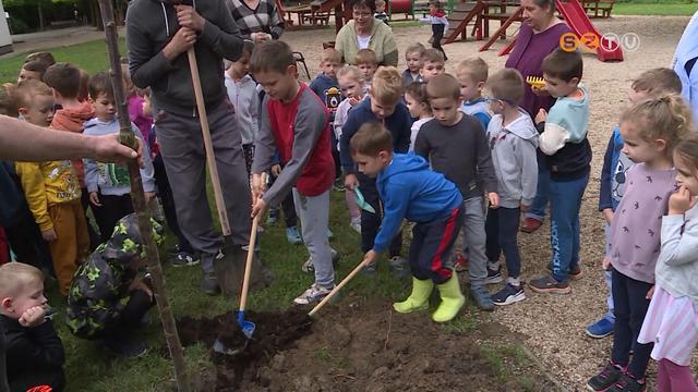 Távhő szülinapi faültetés Távhő szülinapi faültetés