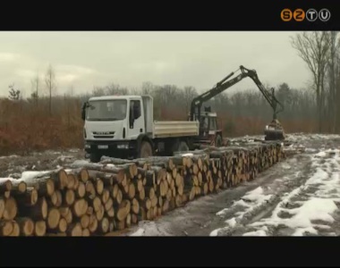 Egyre nagyobb a kereslet a t�zifa ir�nt