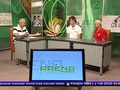 Aréna - 2014. augusztus 18.
