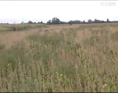 Tov�bb t�mad a parlagf�