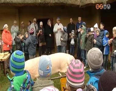 Diszn�t v�gtak a M�zeumfaluban