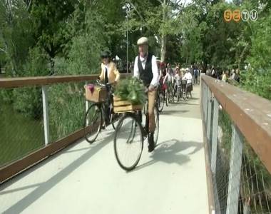 Madarak és fák napja Madarak és fák napja