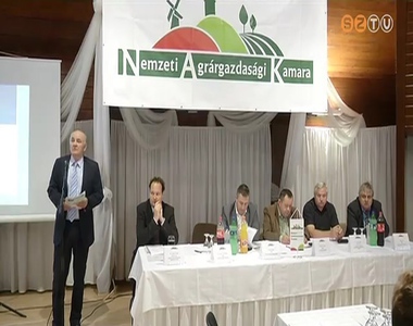 B�zatermel�si verseny