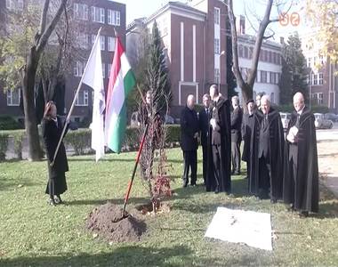 Eml�kt�bl�t avatott �s f�t �ltetett a reform�tus k�z�ss�g