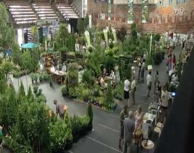 Z�ldbe borult az Ar�na Savaria, 20. alkalommal rendezik meg a faiskolai b�rz�t