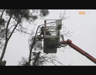 Ism�t metszik a szombathelyi f�kat