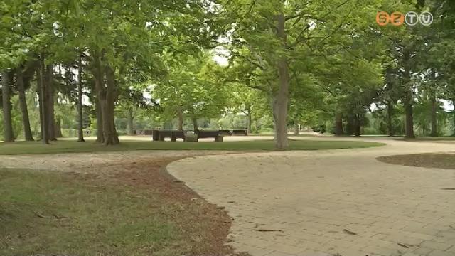 Mozisziget a Csótón Mozisziget a Csótón