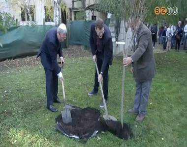 Fa�ltet�s az Izraeli Napok z�r�sak�nt