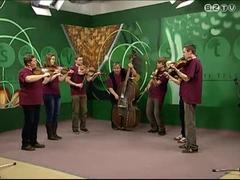 Műhely- 2011. február 1.