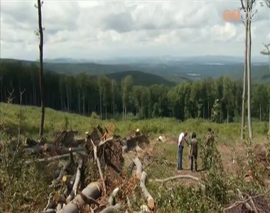 Megkezdt�k a K�szegi hegys�gben a k�rfelsz�mol�st