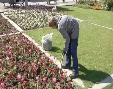 J�v� h�ten �ltetik ki a v�rosban az egyny�ri vir�gokat