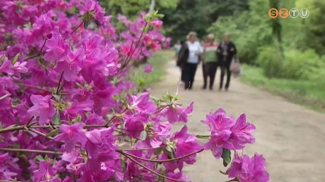 Maradjunk otthon, hogy minél hamarabb útra kelhessünk Maradjunk otthon, hogy minél hamarabb útra kelhessünk