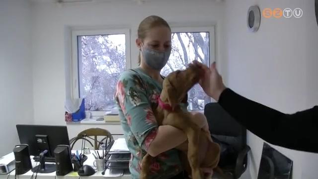 Kutyabart munkahely lett az AGORA Szombathelyi Kulturlis Kzpont