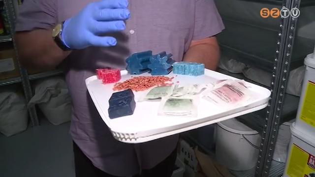 Patkánytérkép Patkánytérkép