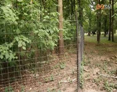 Elk�sz�lt a vadker�t�s