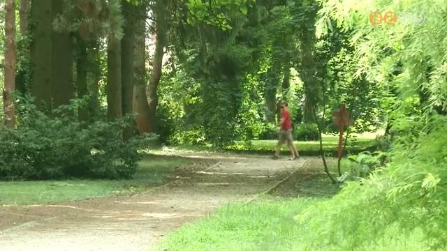 Kevesebb a látogató a Kámoni Arborétumban Kevesebb a látogató a Kámoni Arborétumban