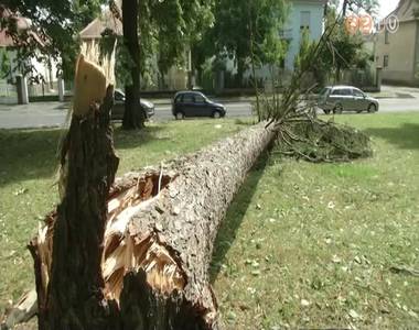 A keddi jégverés nyomai még ma is láthatók városszerte A keddi jégverés nyomai még ma is láthatók városszerte