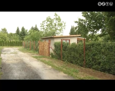 Mez��r�k vigy�znak ny�rt�l a f�ldekre, kiskertekre Szombathelyen