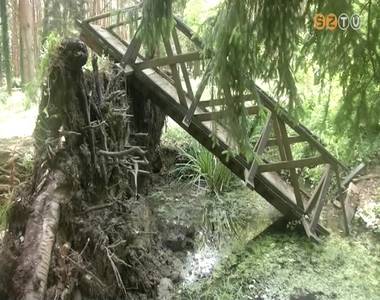 Óriási károkat okozott a vihar a Kámoni Arborétumban Óriási károkat okozott a vihar a Kámoni Arborétumban