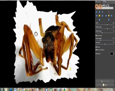 Tudom�nyos �tt�r�st �rt el a p�kok tanulm�nyoz�s�ban egy szombathelyi kutat�