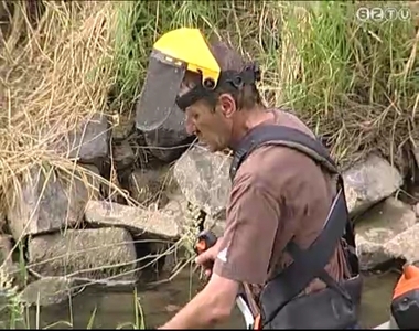 K�zmunk�sok kasz�lnak