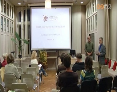 K�l�nleges z�lds�gek a Savaria M�zeumban