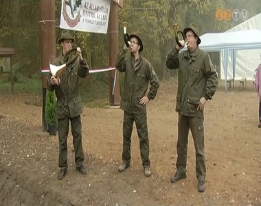 Egy �v alatt, 24 milli� forintb�l �jult meg a szombathelyi Parkerd�