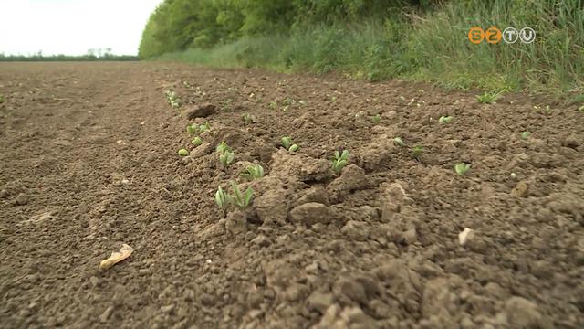 Jkor jtt az es, a szjnak kedveztek az idelis idjrsi krlmnyek