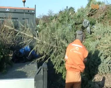 Mi t�rt�nik a feny�f�kkal kar�csony ut�n?