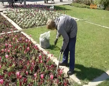 Gyoml�lj�k a vir�g�gy�sokat, ny�rj�k a f�vet, metszik a f�kat