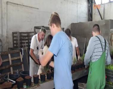 Folyamatosan várják a diákok jelentkezését a cégek nyári munkákra