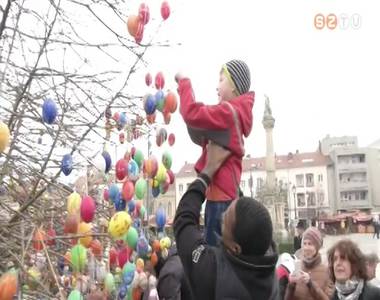 A Falco j�t�kosai seg�tettek toj�sf�t d�sz�teni