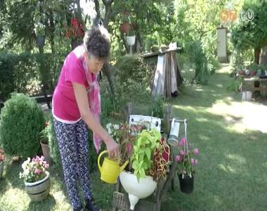 Küzdenek a szárazsággal a kiskerttulajdonosok a Parkerdőben Küzdenek a szárazsággal a kiskerttulajdonosok a Parkerdőben