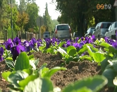 A telet jobban b�r� vir�gokat �ltet ki a v�rosban a Szompark