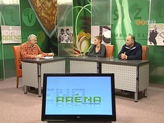 Aréna - 2014. november 24.