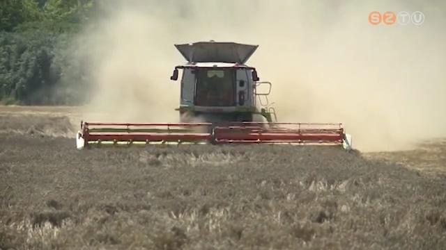 Kevesebb, de jó minőségű búza terem Vas megyében