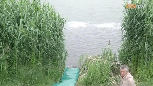 Megkezdődtek a nyári pontytelepítések a vasi vizeken Megkezdődtek a nyári pontytelepítések a vasi vizeken