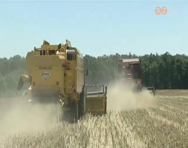 Az elm�lt �vek egyik legsikeresebb arat�s�nak �g�rkezik a mostani