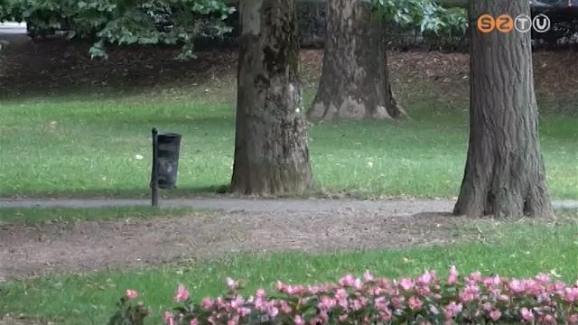 Fogadj örökbe egy parkot! Fogadj örökbe egy parkot!