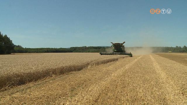 Végéhez közeledik a gabona betakarítása Vas megyében Végéhez közeledik a gabona betakarítása Vas megyében