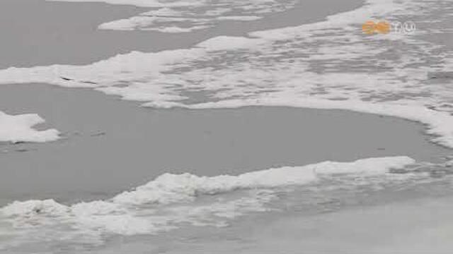 A tart�s hidegnek k�sz�nhet�en vastag j�gr�teg alakult ki a vasi tavakon