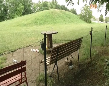 J�r�r�znek a h�ten a Joskar-Ola lak�telep kutyafuttat�j�n