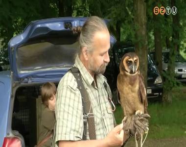 Családi napot tartott az Országos Erdészeti Egyesület Szombathelyi Csoportja Családi napot tartott az Országos Erdészeti Egyesület Szombathelyi Csoportja