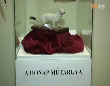 Hermelin, mint m�t�rgy