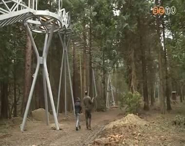 Májusra elkészül a lombkorona sétány a jeli arborétumban Májusra elkészül a lombkorona sétány a jeli arborétumban