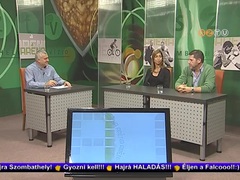 Aréna - 2014. december 15.